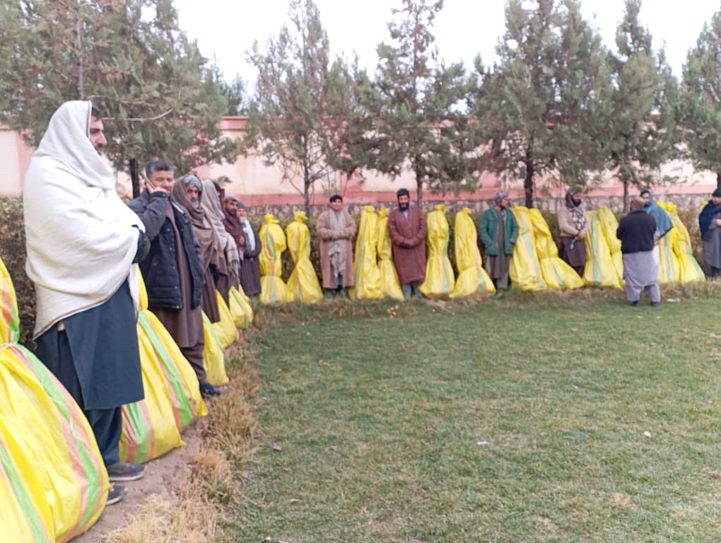 ریاست زراعت فاریاب روند ایجاد باغ‌های گیلاس با سیستم آبیاری قطره‌ای را آغاز کرد