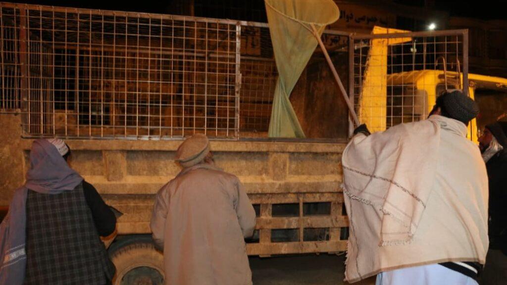 غزني ښار کې د کوڅه‌ډبو سپیانو ټولولو کمپاین پيل شو