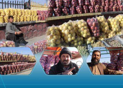 دهاقین غزنی: تصمیم مبنی بر توقف تجارت با پاکستان را می‌ستایم اما برای نگهداری محصولات زراعتی سردخانه‌ها ساخته شود