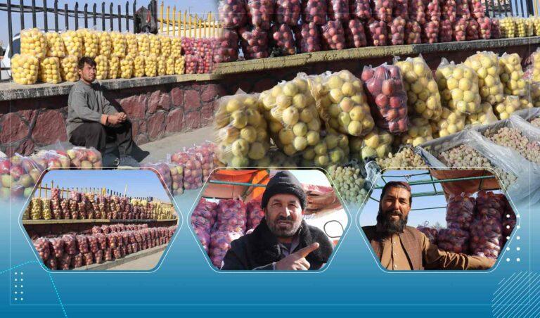 دهاقین غزنی: تصمیم مبنی بر توقف تجارت با پاکستان را می‌ستایم اما برای نگهداری محصولات زراعتی سردخانه‌ها ساخته شود