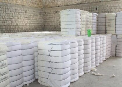 تېره یوه میاشت کې له کندهاره ایران ته ۷۰۰ ټنه پنبه صادره شوې