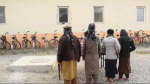 لوګر کې د غلاوو په تور څلور کسان نیول شوي