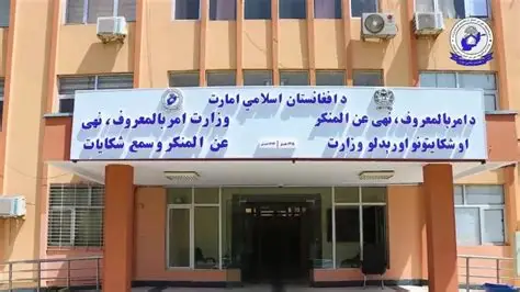 از یک ازدواج اجباری در پروان جلوگیری شد