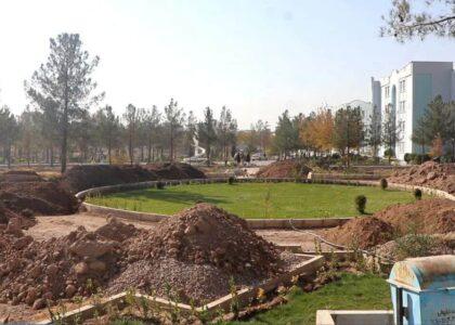 کار سه پروژۀ به ارزش ۸۲ میلیون افغانی در پوهنتون هرات آغاز شد