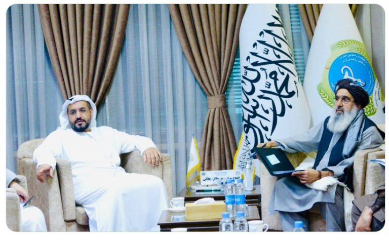 Jalali urges UAE to equip Afghan hospitals with modern tools