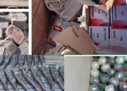 یک تن همراه با ۴۰ میل کلاشینکوف در نیمروز بازداشت شد