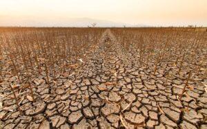 پوهنتون سازمان ملل: ورشکسته‌گی قریب‌الوقوع منابع آب در جهان میلیاردها تن را در معرض خطر قرار می‌دهد