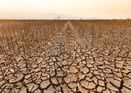 پوهنتون سازمان ملل: ورشکسته‌گی قریب‌الوقوع منابع آب در جهان میلیاردها تن را در معرض خطر قرار می‌دهد