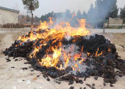 ۲۰۰ کیلوگرام موی انسان در بلخ سوزانده شد