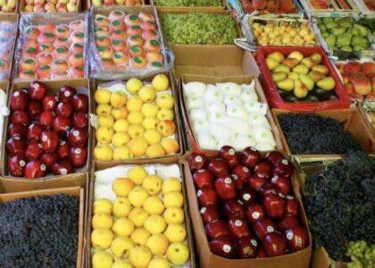 Herat exports over 22,000 tonnes of fresh fruit in last 9 months