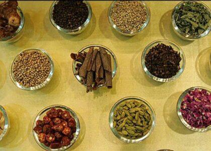 صادرات نباتات طبی از هرات سه برابر افزایش یافته‌است