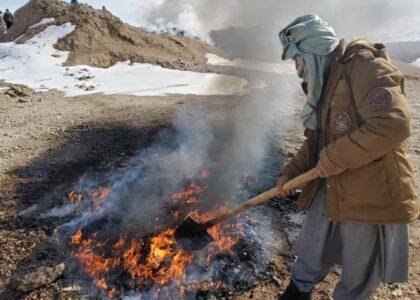 Over 6,000kg of narcotics torched in Ghor