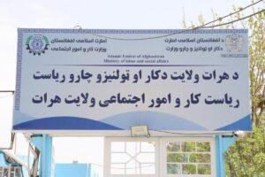 هرات کې په لومړي ځل د کار برېښنايي جوازونو د وېش بهیر پیل شو