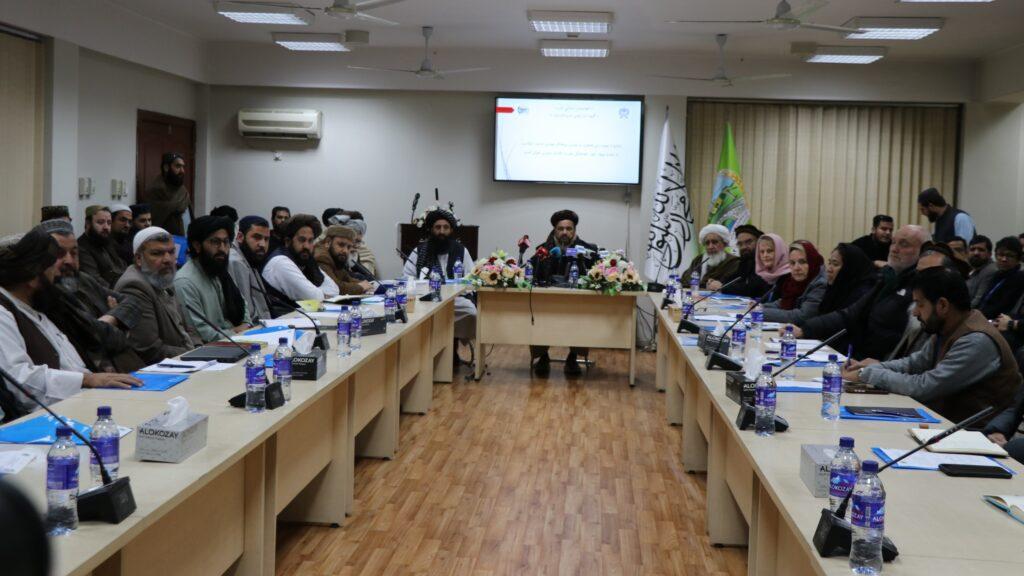 د کلیو پراختیا وزیر د پرمختیايي او بشري موسسو له استازو سره د همغږۍ ناسته وکړه