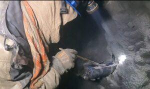 First green garnet mine discovered in Panjsher