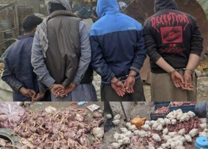 پولیسو ننګرهار کې څلور تنه د مردارو چرګانو د پلور په تور نیولي