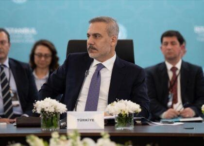 Peace in Afghanistan vital for region: Turkish FM