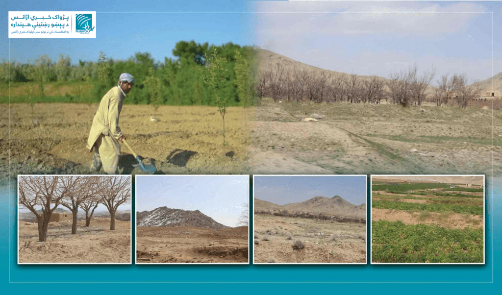 د اقلیمي بدلون اغېزې؛ د اوبو د مدیریت او اصلاح‌شوو تخمونو برخو کې د غزني د یو شمېر بزګرانو غوښتنه