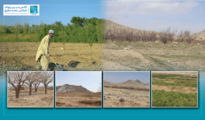تأثیرات تغییرات اقلیمی؛ درخواست شماری از دهاقین غزنی در زمینۀ مدیریت آب و تخم‌های اصلاح‌شده