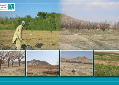 تأثیرات تغییرات اقلیمی؛ درخواست شماری از دهاقین غزنی در زمینۀ مدیریت آب و تخم‌های اصلاح‌شده