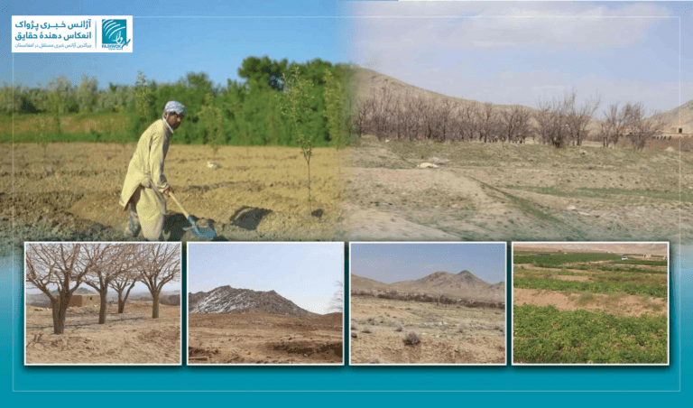 تأثیرات تغییرات اقلیمی؛ درخواست شماری از دهاقین غزنی در زمینۀ مدیریت آب و تخم‌های اصلاح‌شده