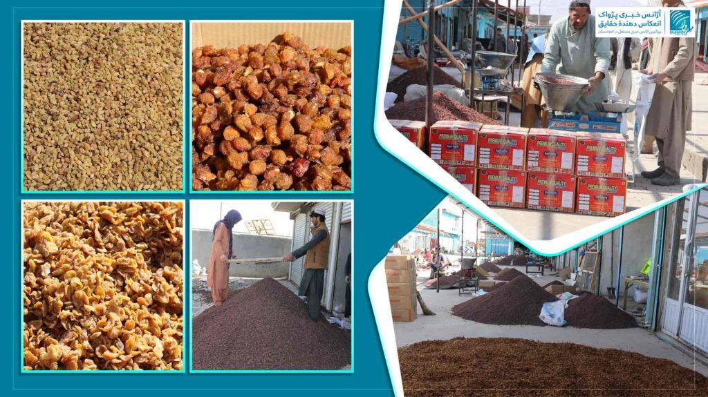 طی سال جاری خورشیدی ۱۳ هزار تُن میوۀ خشک از ولایت غزنی صادر شده‌است