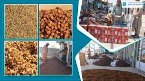 13,000 tonnes of dried fruit exported from Ghazni this year