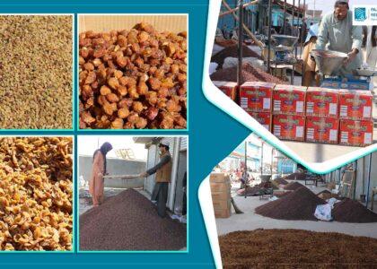 13,000 tonnes of dried fruit exported from Ghazni this year