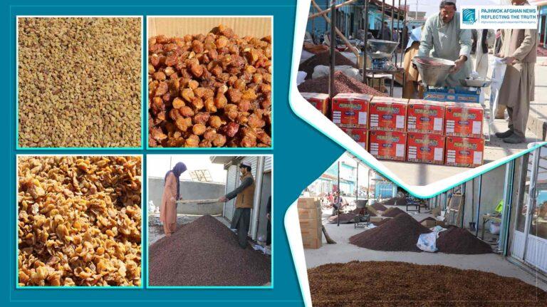 13,000 tonnes of dried fruit exported from Ghazni this year
