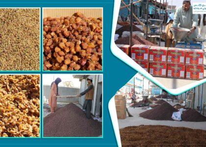 13,000 tonnes of dried fruit exported from Ghazni this year