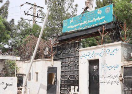 فراغت بیش از ۲۰۰ زندانی از دوره‌های آموزشی دینی و حرفه‌یی در محبس هرات