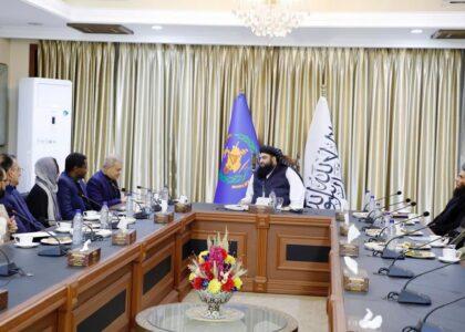 اندریکا راټوټه: له افغانانو سره به له هرې ممکنې لارې مرستو او همکاریو ته دوام ورکړو