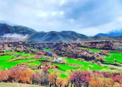 چندین پروژۀ انکشافی به ارزش یک میلیون دالر امریکایی در پنجشیر آغاز شد