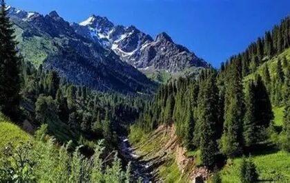 د اختر ورځو کې شاوخوا ۲.۳ میلیون سیلانیانو د هېواد له تفریحي سیمو لیدنه کړې ده