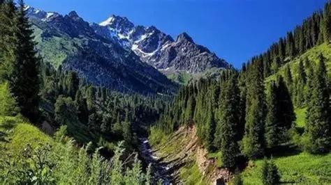 د اختر ورځو کې شاوخوا ۲.۳ میلیون سیلانیانو د هېواد له تفریحي سیمو لیدنه کړې ده