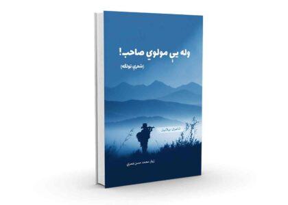 د «وله یې مولوي صاحب!» تر سرلیک لاندې شعري ټولګه چاپ شوه