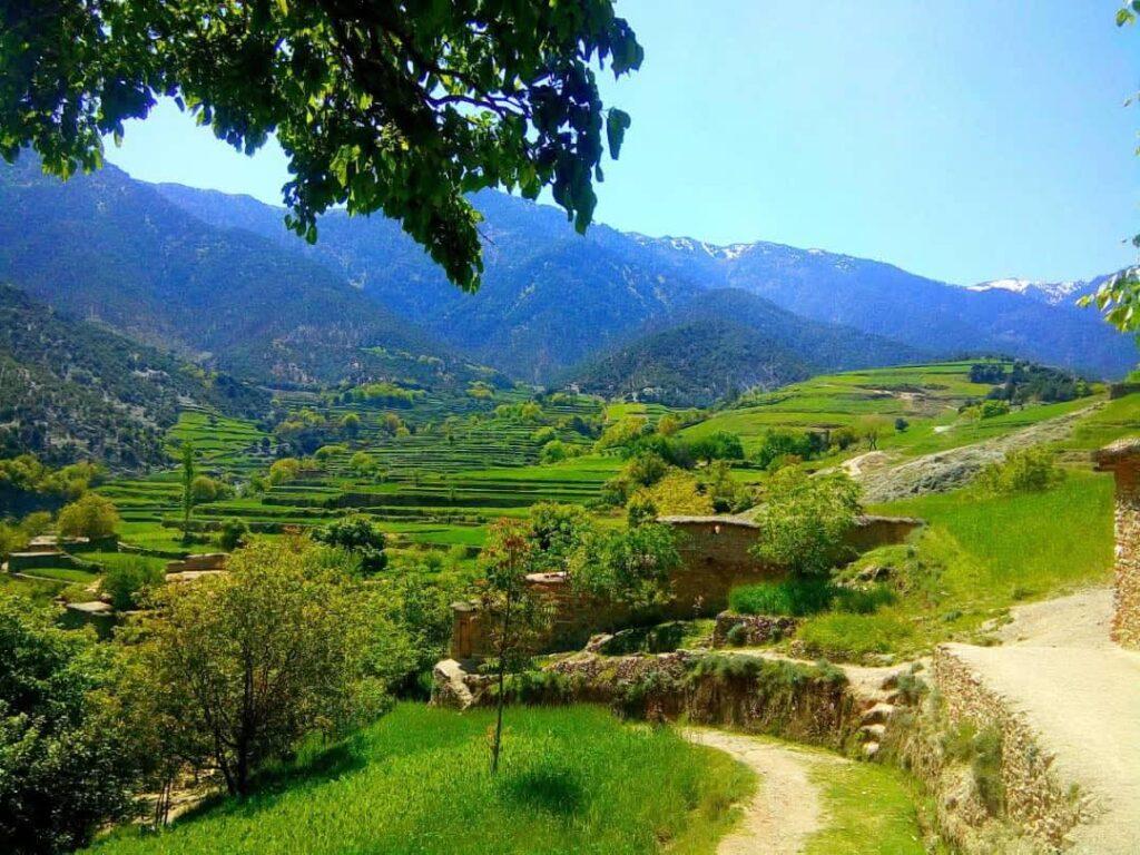 په کونړ او پکتیکا کې پر ملکي خلکو د پاکستان ډزې؛ یو تن شهید شوی او یوه ښځه ټپي ده