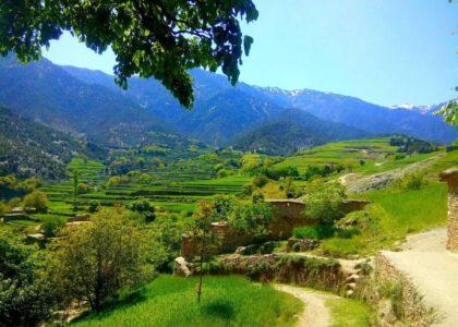 په کونړ او پکتیکا کې پر ملکي خلکو د پاکستان ډزې؛ یو تن شهید شوی او یوه ښځه ټپي ده