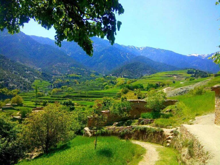 په کونړ او پکتیکا کې پر ملکي خلکو د پاکستان ډزې؛ یو تن شهید شوی او یوه ښځه ټپي ده