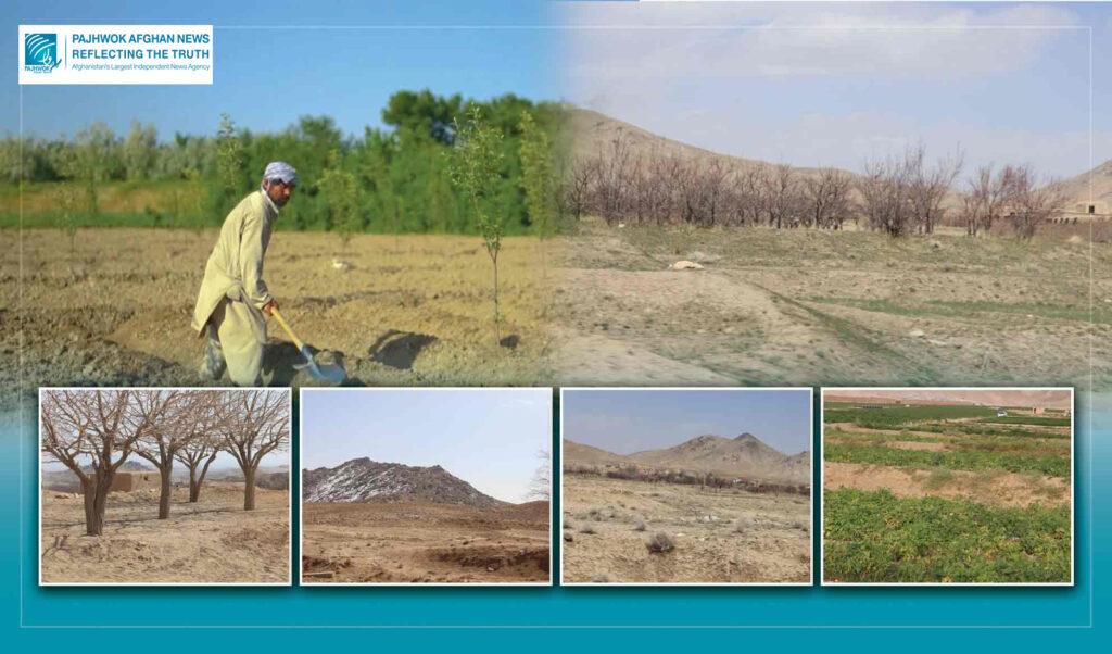 Ghazni farmers seek improved seeds, water projects to combat climate change