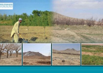 Ghazni farmers seek improved seeds, water projects to combat climate change