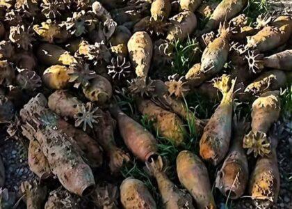 مقداری مهمات در بادغیس کشف شد