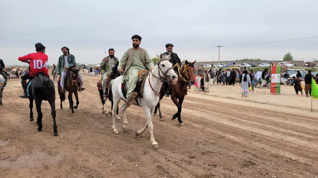 آغاز مسابقات ملی اسپ‌سواری در هرات با اشتراک ورزشکاران ۱۴ ولایت