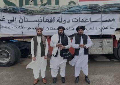 IEA delivers 530 tonnes of relief supplies to Gaza