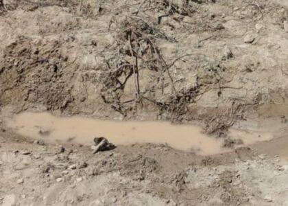 د غزني په ګیرو کې یوه ځوان اوبو کې د ډوبېدو له امله ژوند له لاسه ورکړی