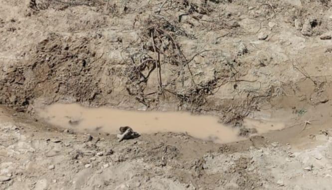 د غزني په ګیرو کې یوه ځوان اوبو کې د ډوبېدو له امله ژوند له لاسه ورکړی