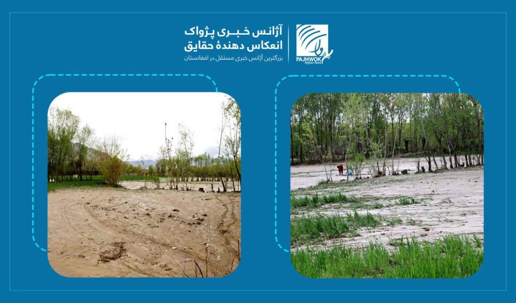 بارنده‌گی‌های اخیر؛ نفس تازه برای زمین‌های خشک و دهاقین افغانستان