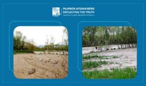 Recent rainfall revives Afghanistan’s agriculture, renews hope for farmers
