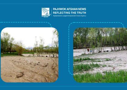 Recent rainfall revives Afghanistan’s agriculture, renews hope for farmers