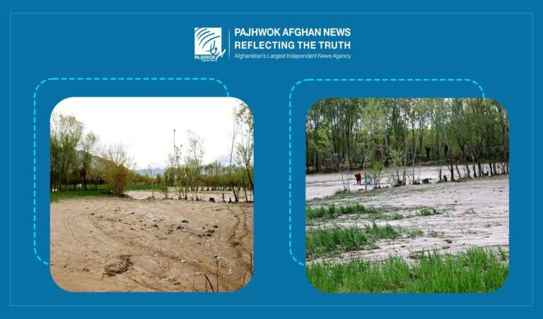 Recent rainfall revives Afghanistan’s agriculture, renews hope for farmers